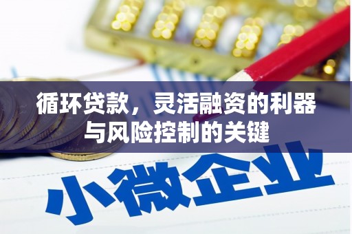 桐梓循环贷款，灵活融资的利器与风险控制的关键
