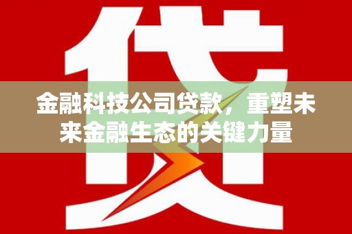 桐梓金融科技公司贷款，重塑未来金融生态的关键力量