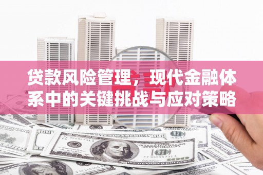 桐梓贷款风险管理，现代金融体系中的关键挑战与应对策略