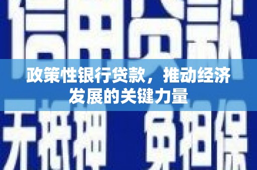 桐梓政策性银行贷款，推动经济发展的关键力量