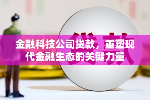 桐梓金融科技公司贷款，重塑现代金融生态的关键力量