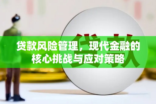 桐梓贷款风险管理，现代金融的核心挑战与应对策略
