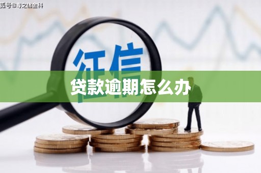 桐梓贷款逾期怎么办