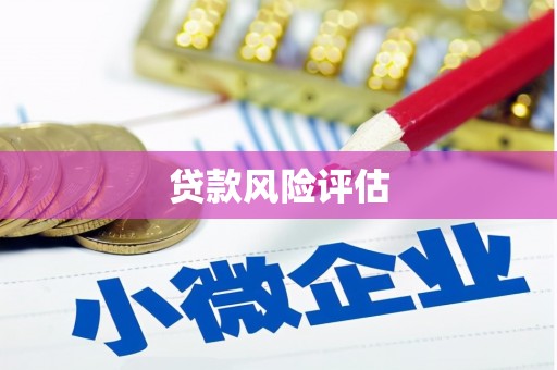 桐梓贷款风险评估