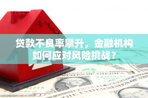 桐梓贷款不良率攀升，金融机构如何应对风险挑战？