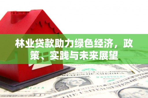 桐梓林业贷款助力绿色经济，政策、实践与未来展望
